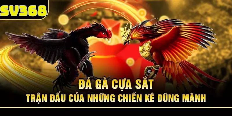 Thông tin về loại hình cá cược đá gà cựa sắt SV368